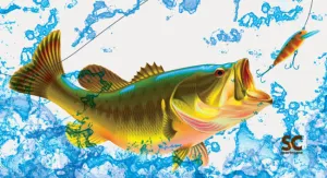 BASS TOWEL