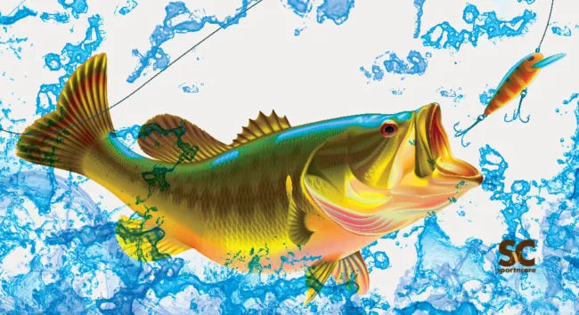 BASS TOWEL