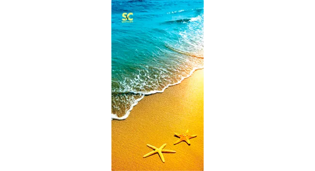 BEACH STAR FISH II