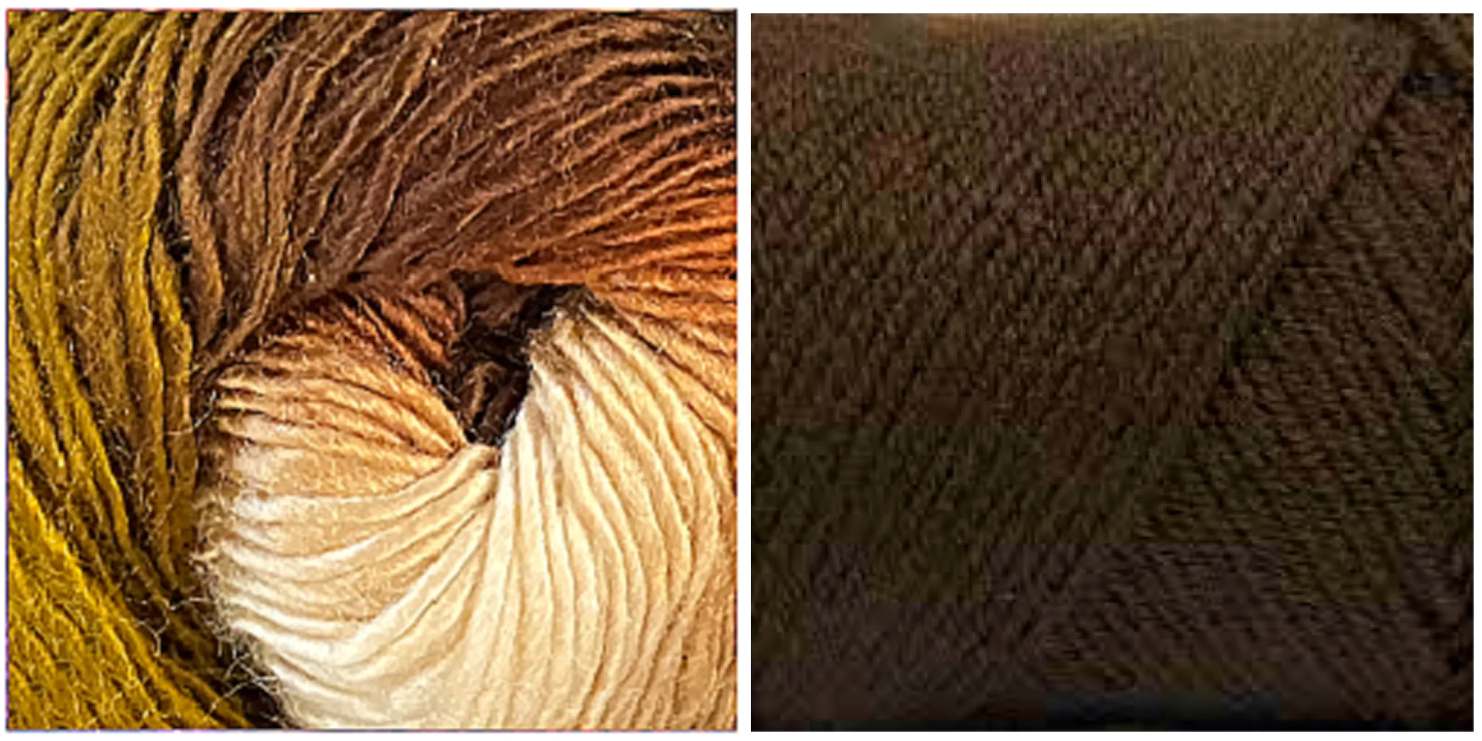 CHOCOLATE   COLEUS - Embossed Phoenix Scarf KIT