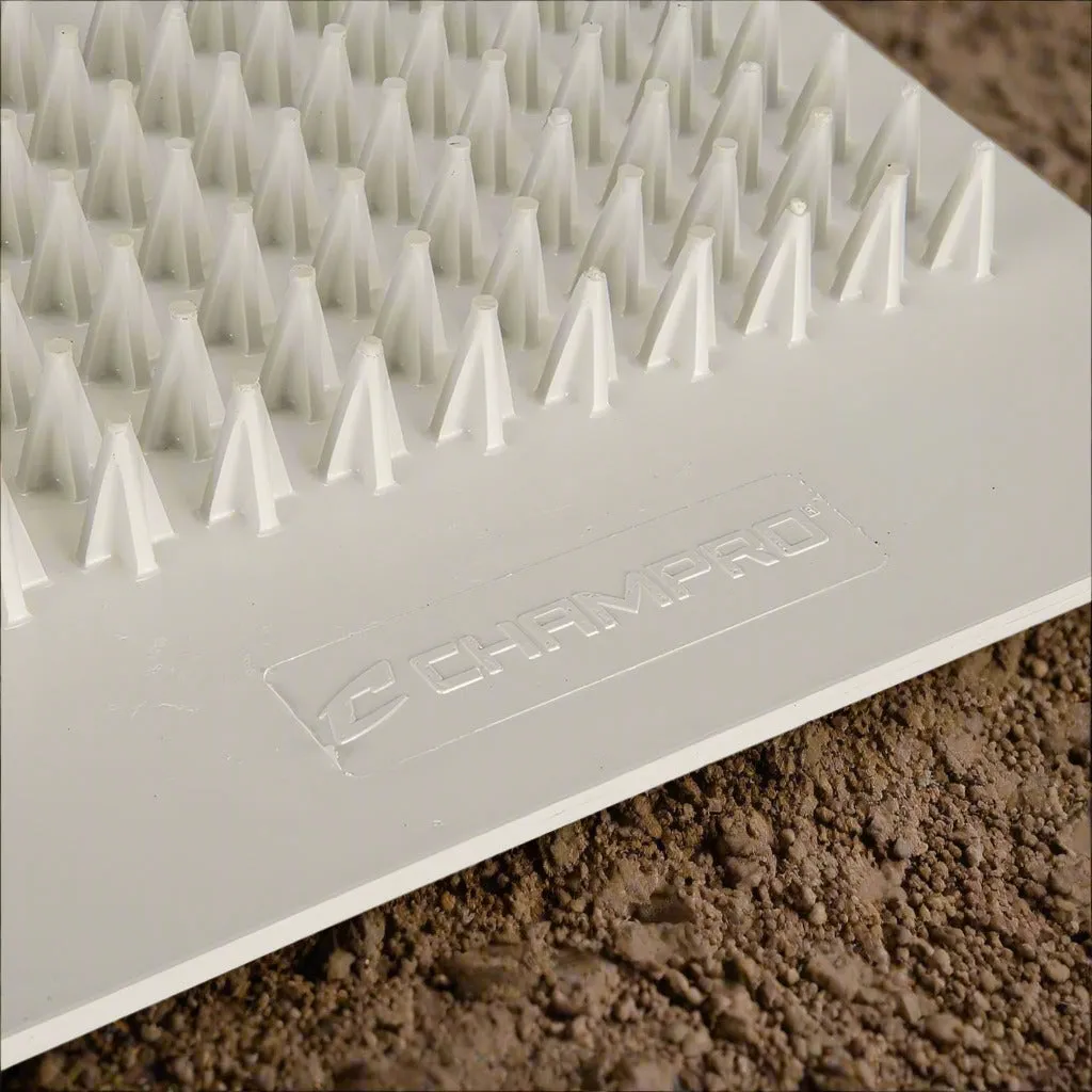 Cleat Cleaner