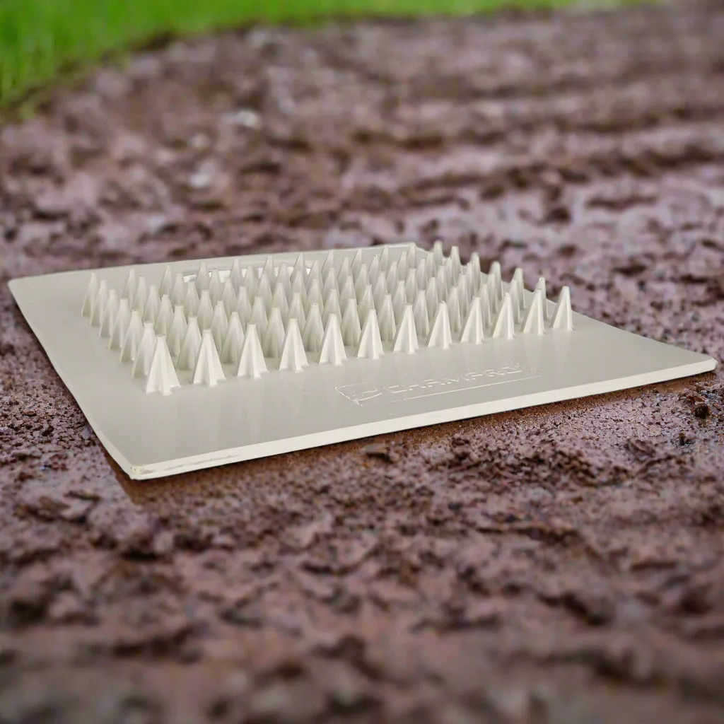 Cleat Cleaner