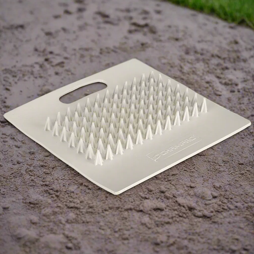 Cleat Cleaner