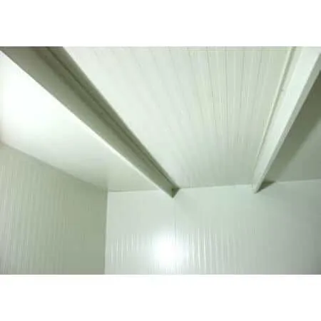 Duramax 16' x 10' Flat Roof Insulated Building 30852