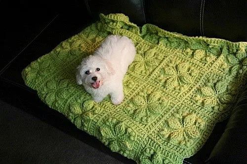 Embossed Garden Baby Blanket Crochet Pattern