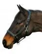 Henri de Rivel Stress Free Halter with Fancy Contrast Stitching