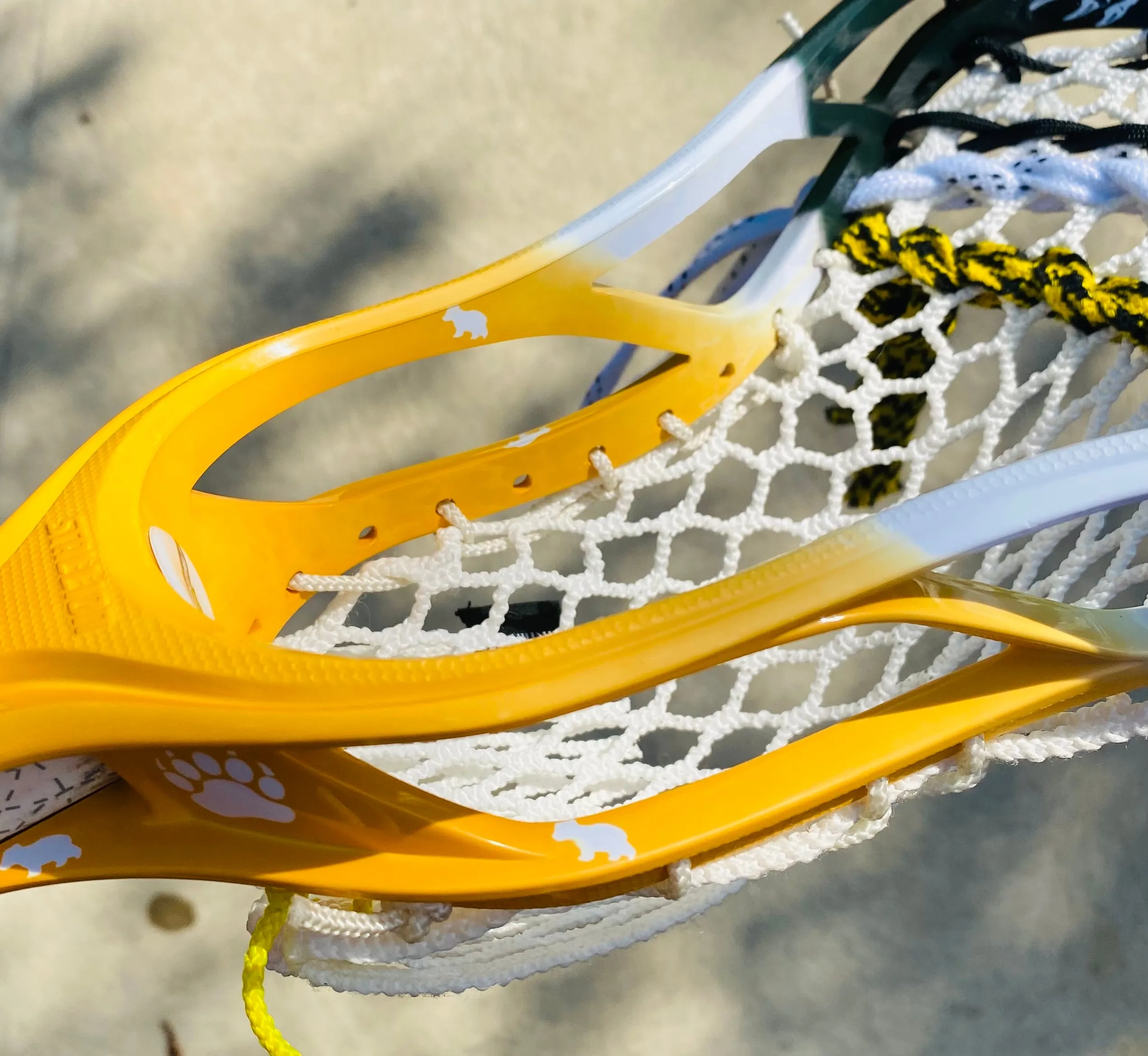Lacrosse Stick Kodiaks Series #1 "Da Bear"