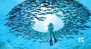 LADY DIVER TOWEL