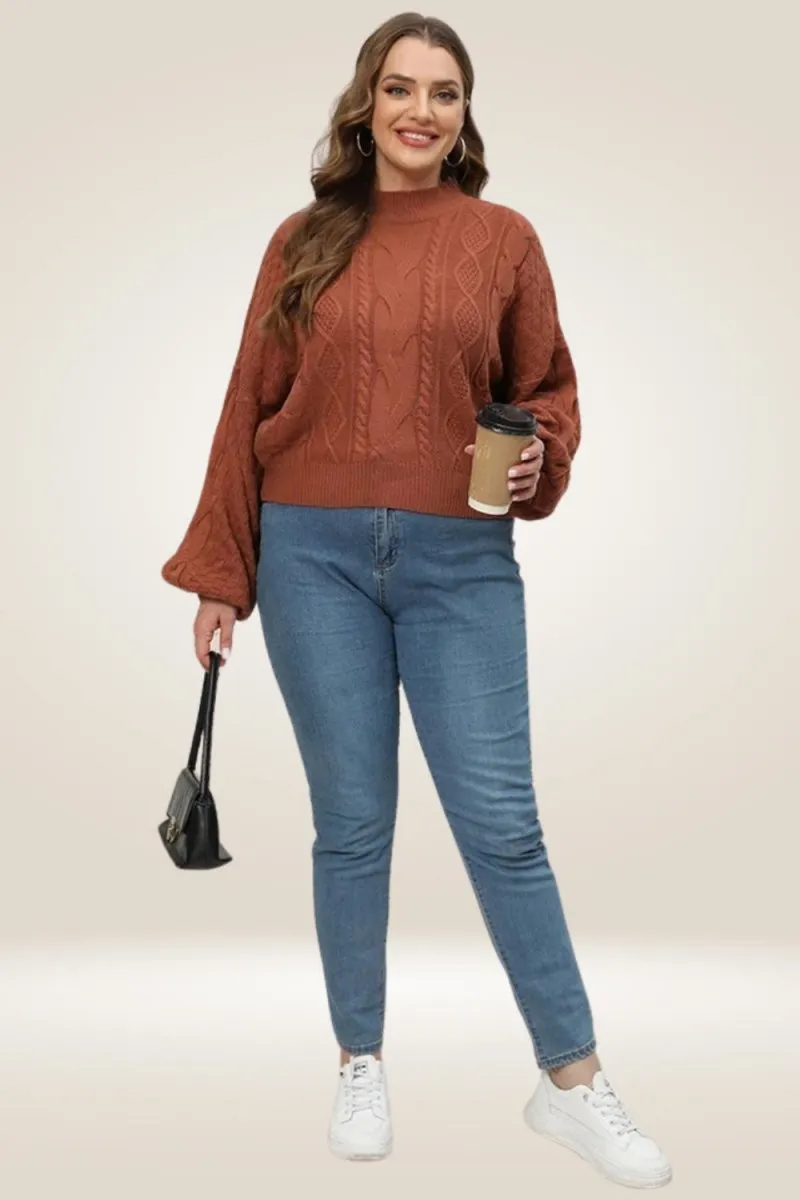 Lantern Long Sleeve Knitted Brown Plus Size Sweater