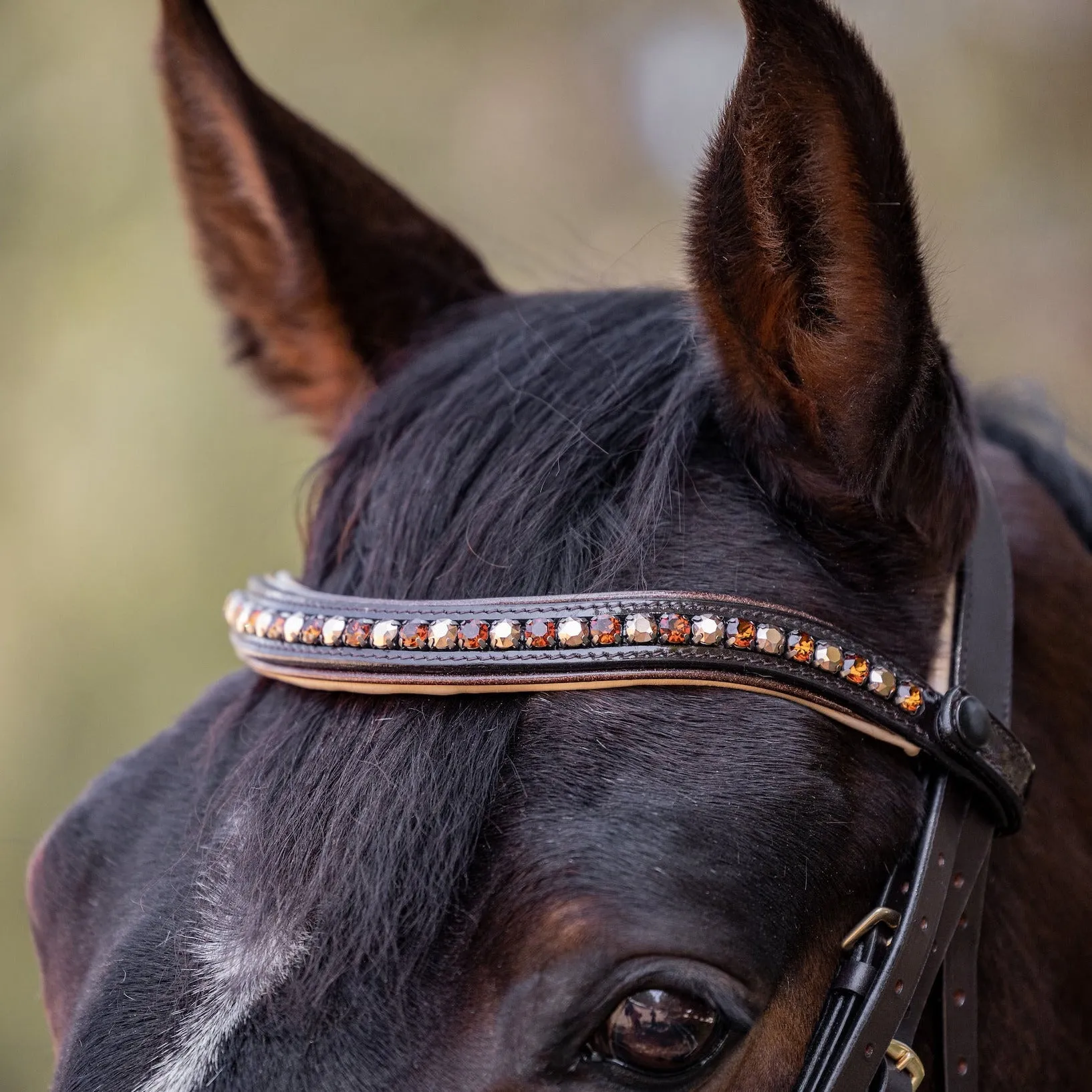 Lisbon - Brown Patent Sparkle Double Bridle