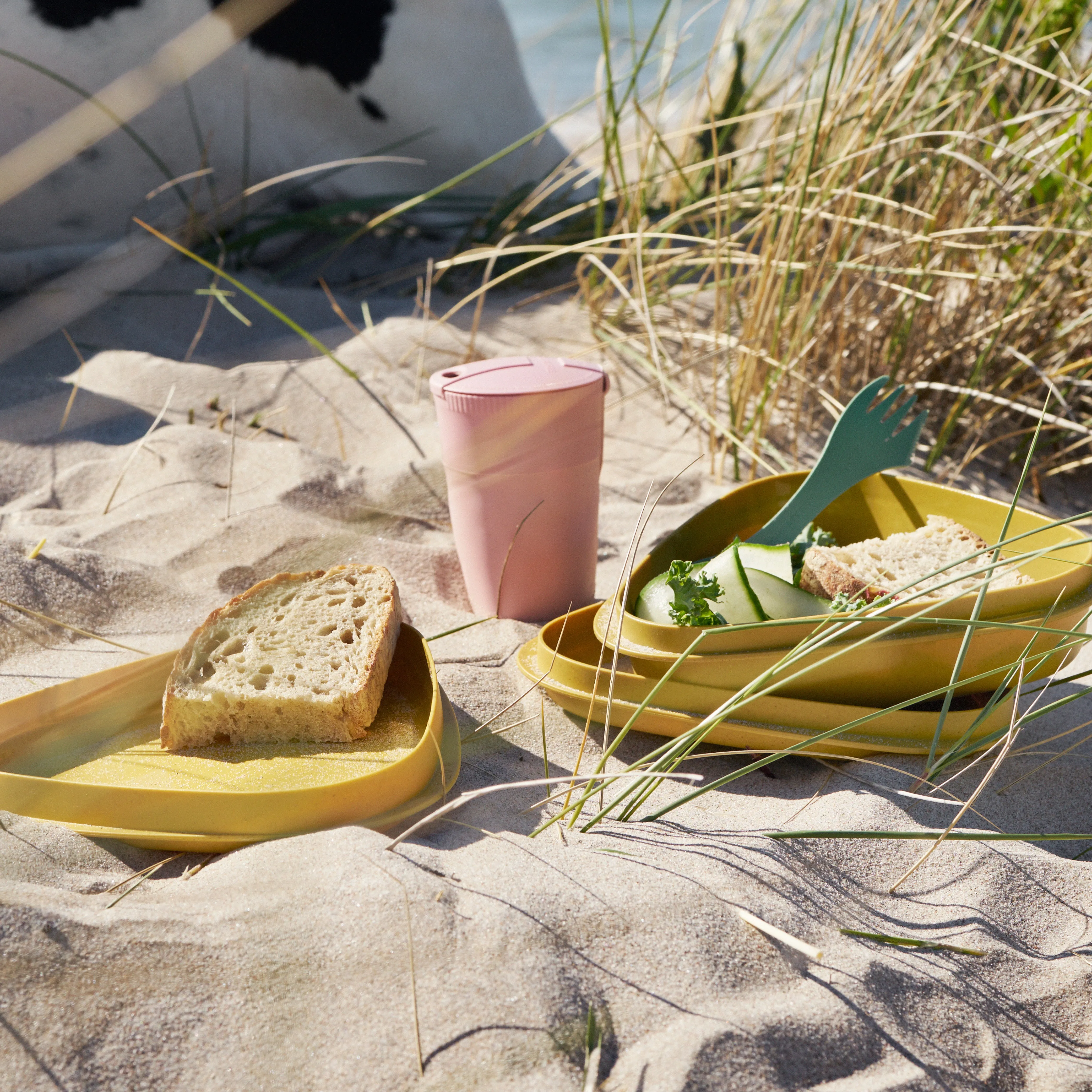 LUNCH KIT BIO - 6 PIECES