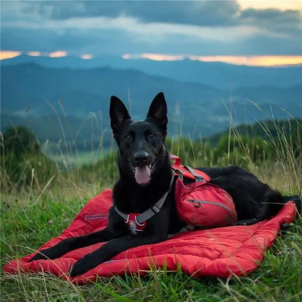 Outdoor Foldable Dog Mat | Waterproof Non-Slip Bed