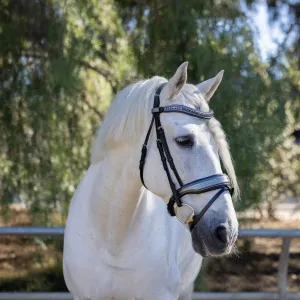 Petra Leather Snaffle Bridle