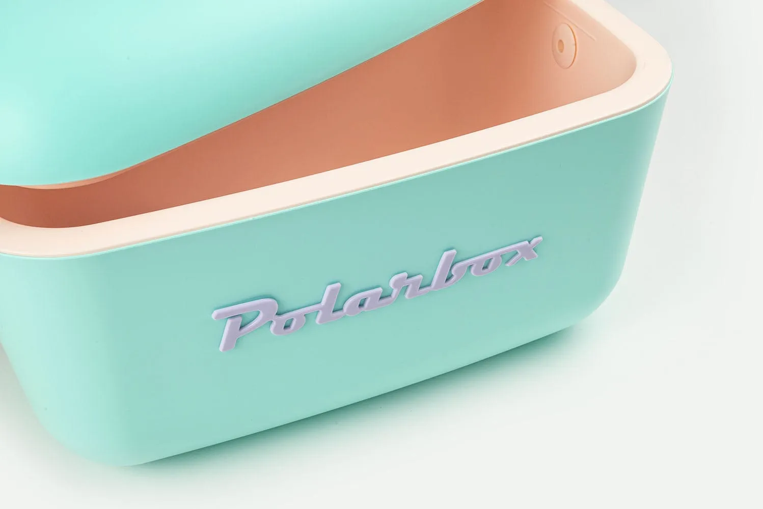 Polarbox Classic Green And Pink Strap 20 Liter 1-9250 10000