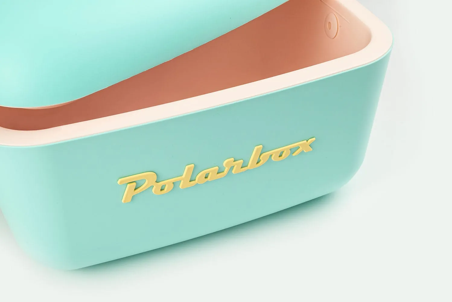 Polarbox Classic Green And Pink Strap 20 Liter 1-9250 10000