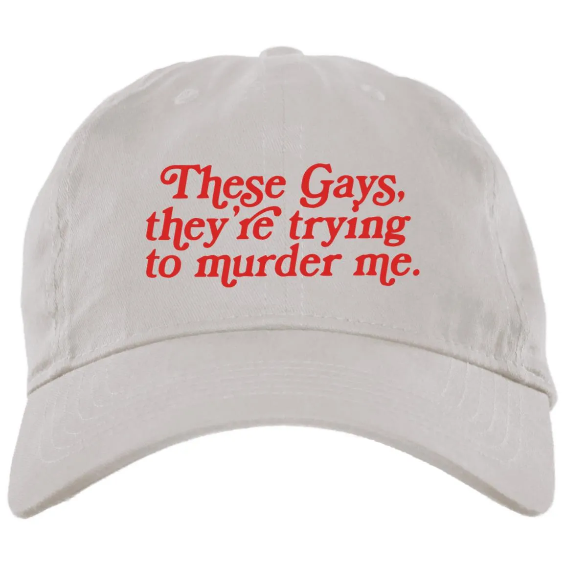 These Gays Trying To Murder Me Hat
