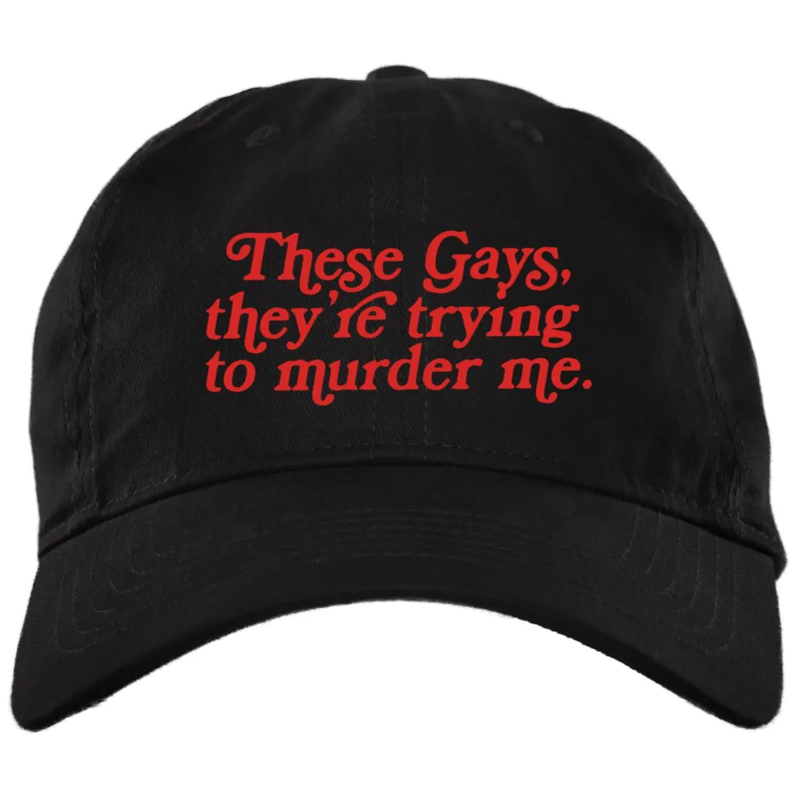 These Gays Trying To Murder Me Hat