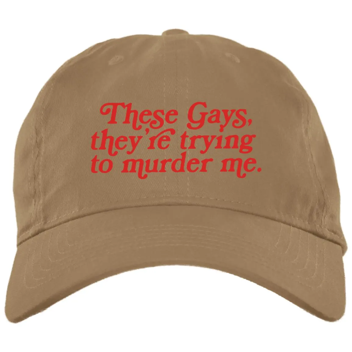 These Gays Trying To Murder Me Hat